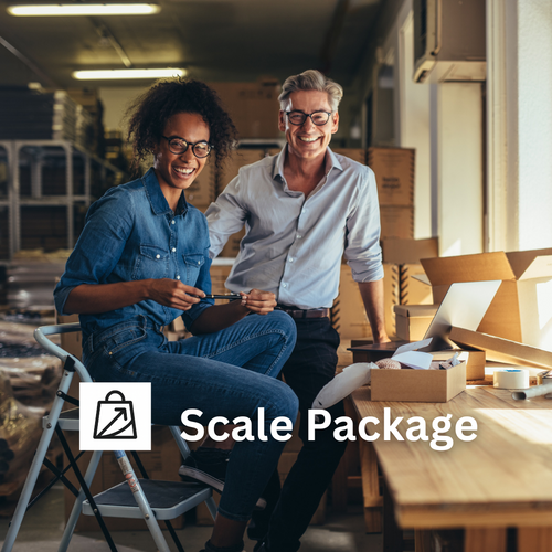 Scale Package – Full Shopify & Ads Management (Fortnightly)